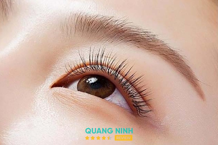 Mẫu mi tại Thảo Phương Nguyễn Nối Mi