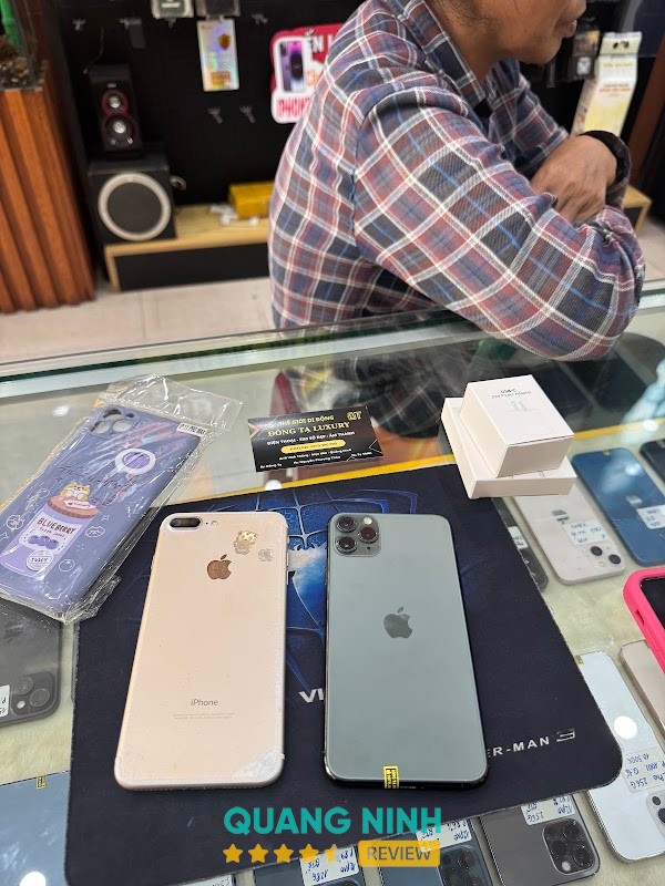Không gian ĐÔNG TẠ LUXURY - hình ảnh 2