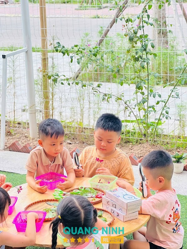 Trường mầm non Xứ Sở Cầu Vồng - hình ảnh 3