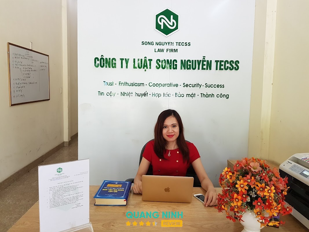Công ty Luật Song Nguyễn TECSS – hình ảnh 2