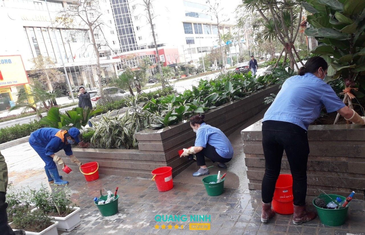 Dịch vụ Nhà sạch 5S Hạ Long